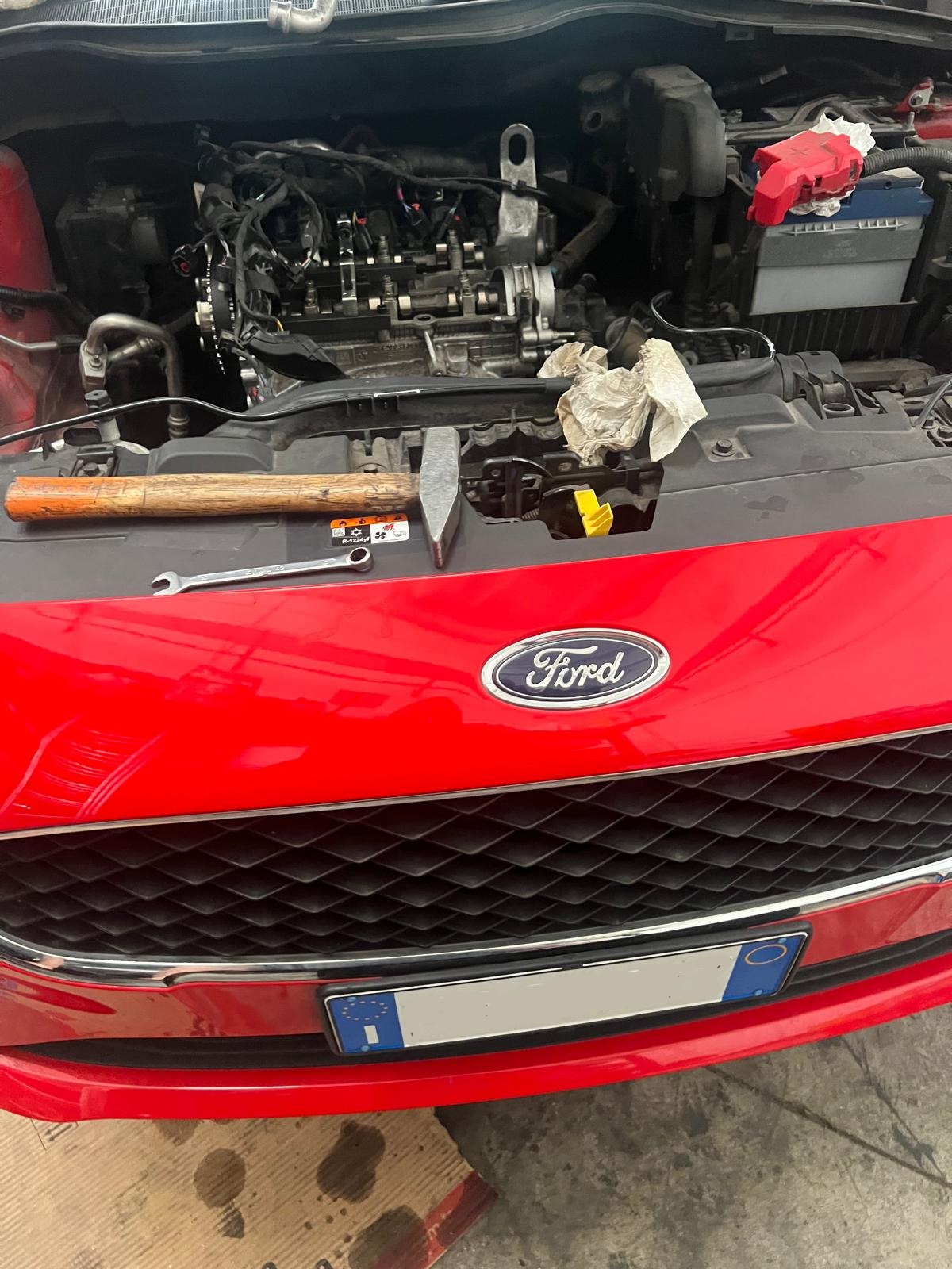 ford puma cinghia a bagno d olio